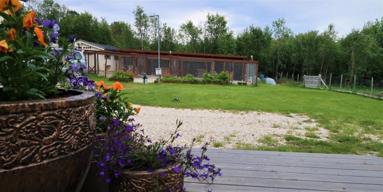 Fjellivet Vila Lakselv Exterior foto